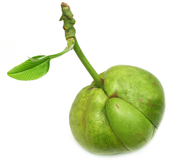 Elephant apple(Chalta) (275-300gm)